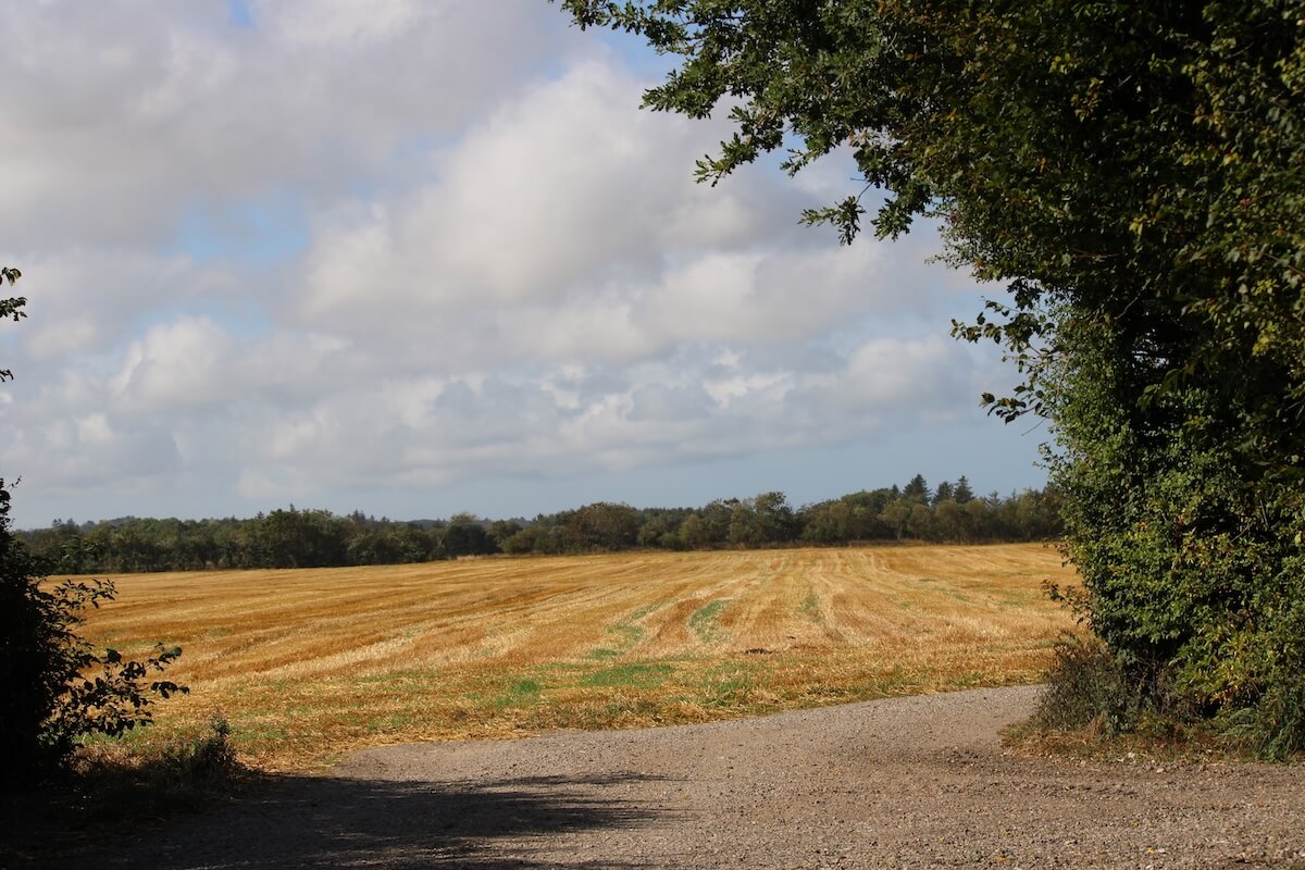 Landskab nordjylland